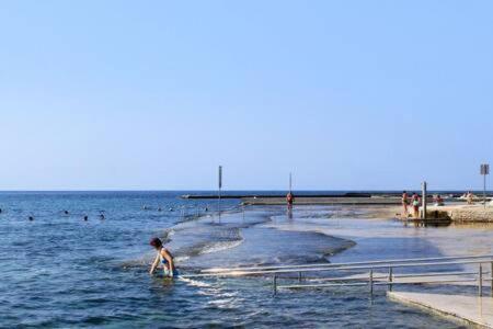 Ferienwohnung Murin Delfin Umag Exterior foto