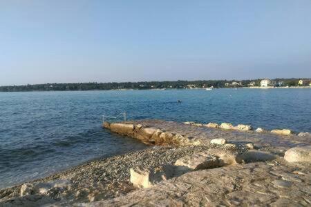 Ferienwohnung Murin Delfin Umag Exterior foto